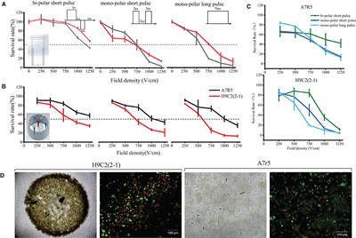 Study on Optimal Parameter and Target for Pulsed-Field Ablation of Atrial Fibrillation